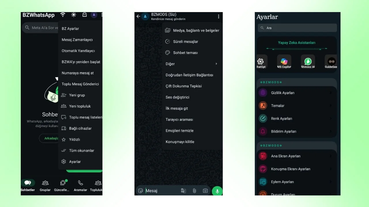 BZWhatsApp V3.0
