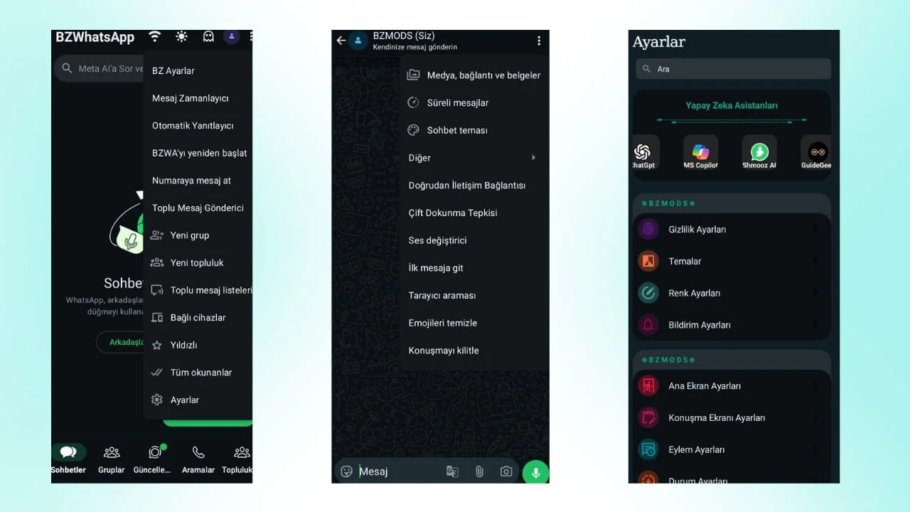 BZWhatsApp V4.0